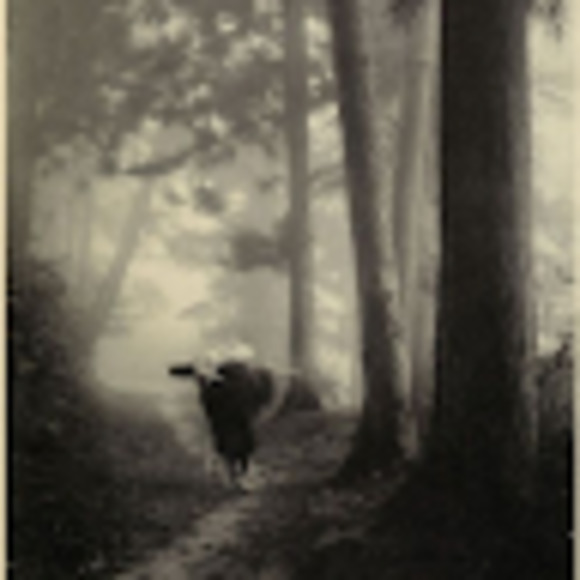 Meet your Posher, Francesco - Picture 1 of 1